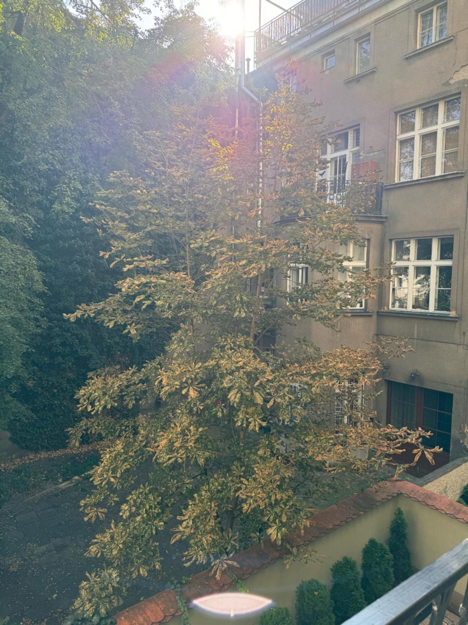 Apartament Arbes 10 - At The Yellow Duck